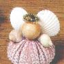 seashell urchins angels