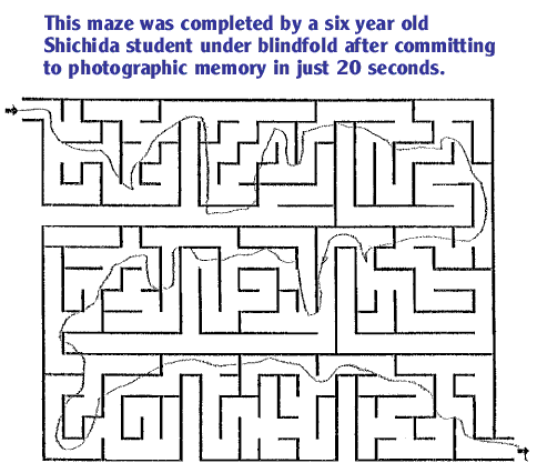 Blindfolded Maze
