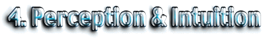 
Perception & Intuition