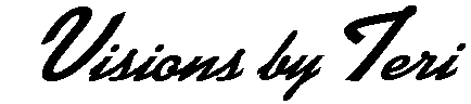 Visions by Teri Logo