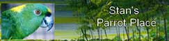 Stans Parrot Place