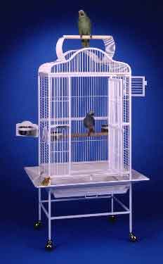 2620 N Bird Cage