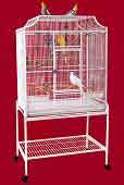 ELF3221 Bird Cage