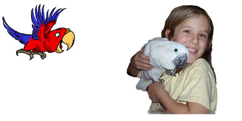 child holding Cockatoo