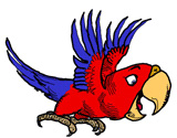 Parrot