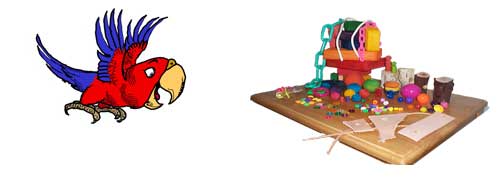 Parrot Flying to bird toy parts on table