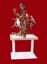 GYM3325d Play Gym Perch