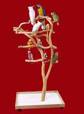 GYM3732 Play Gym Perch