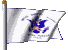 USCG Flag