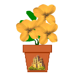 The Site Fights Spirit Flowers