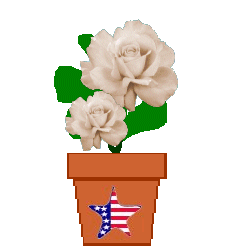 The Site Fights Spirit Flowers