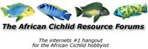 The African Cichlid Resource Forums !