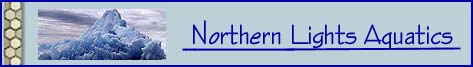 Northern Lights Aquatics - Alaska's largest private freshwater fishroom !