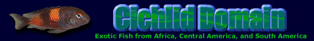 Cichlid Domain