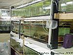 My fishroom ! 