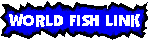 World Fish Link.com