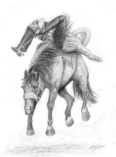 Bronco Rider