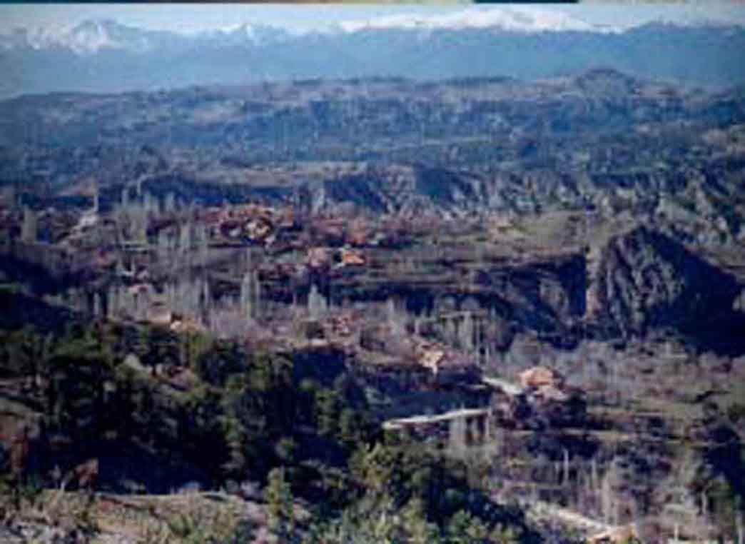 aliverenim2.jpg (43871 bytes)