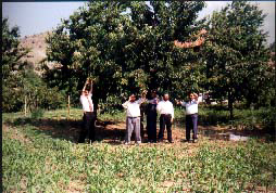 alveren3pg.jpg (67125 bytes)