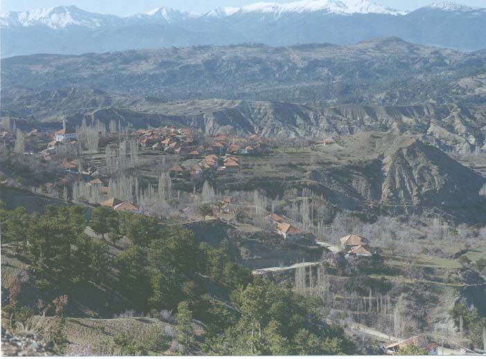 koy.jpg (16399 bytes)