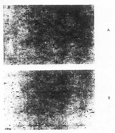 Homojenizasyon sonras� do�utma h�z�n�n etkisi