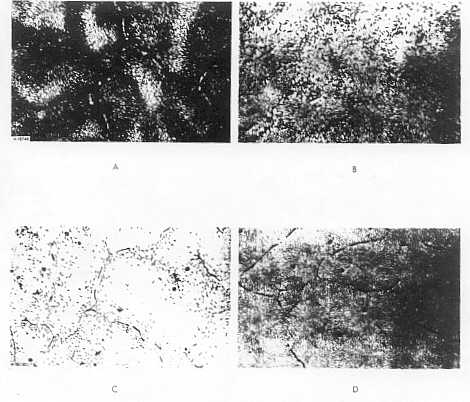 sekil-9 6063 al�minyum biyetin mikroyap�s�