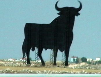 Bull