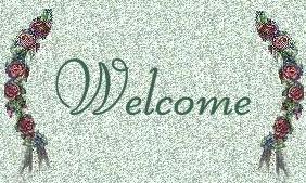 s11grbanner.jpg (21751 bytes)