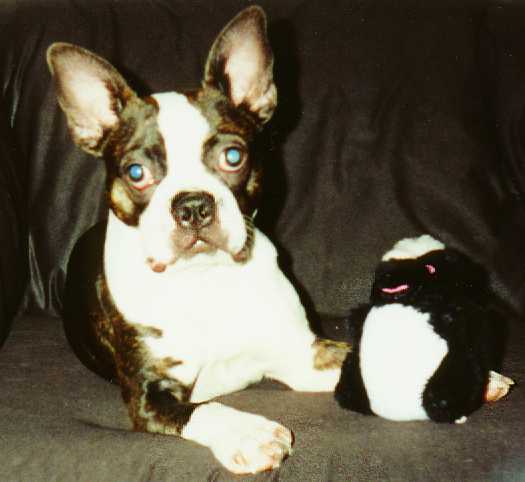 Chewey & Her Skunk