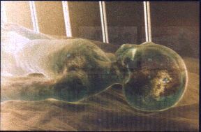 smile like it's never going to hurt