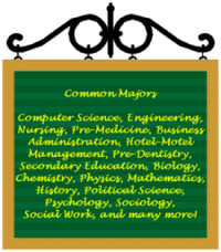 list of common majors