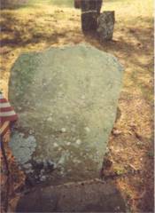 gainsbadkins.jpg (8509 bytes)