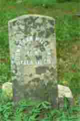 jonathanwilliams.jpg (9157 bytes)