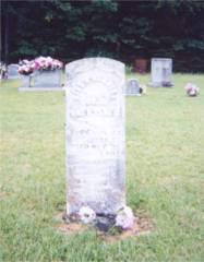 rblevins.jpg (7803 bytes)