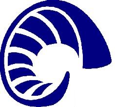 Borregos Salvajes Instituto Tecnolgico de Estudios Superiores de Monterrey Campus Toluca.