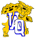 Gatos Salvajes Universidad Autnoma de Quertaro