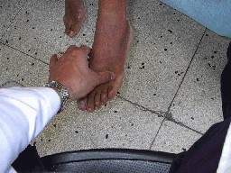 examen.jpg (22395 bytes)