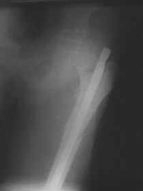 foto3.jpg (6786 bytes)