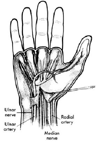 mediano.jpg (42902 bytes)