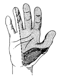 parest.gif (42902 bytes)