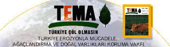 Tema vakfi
