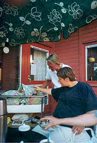 momor1.JPG (17660 bytes)