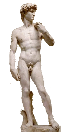 Google Image Search: Michelangelo David