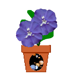 The Site Fights Spirit Flowers