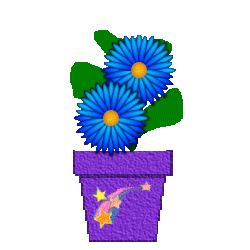 The Site Fights Spirit Flowers