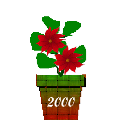 The Site Fights Spirit Flowers