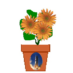 The Site Fights Spirit Flowers