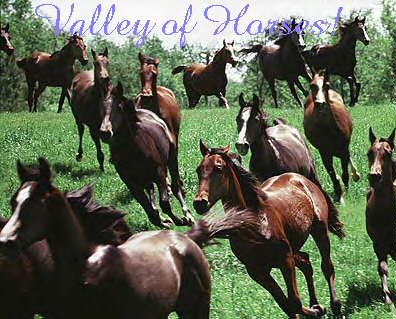 Welcome to the Valley of Horses!
