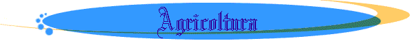 Agricoltura