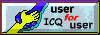 icquserhelp.gif (2842 byte)